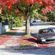 Illustration for article titled Pics from the Curbside: 2018-10-14 to Kitsilano Secondary School